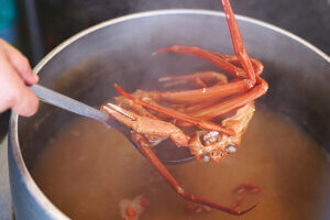 OނŖ͂[@IV\鋛s `̎sʂҁ`̉摜14