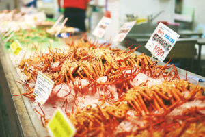 OނŖ͂[@IV\鋛s `̎sʂҁ`̉摜8