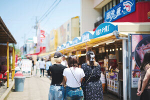 OނŖ͂[@IV\鋛s `̎sʂҁ`̉摜11