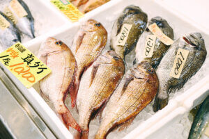 OނŖ͂[@IV\鋛s `̎sʂҁ`̉摜3