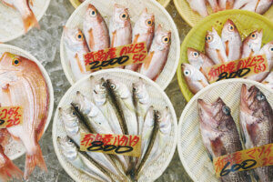 OނŖ͂[@IV\鋛s `̎sʂҁ`̉摜4