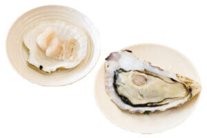 OނŖ͂[@IV\鋛s `̎sʂҁ`̉摜6