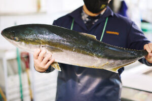 OނŖ͂[@IV\鋛s `̎sʂҁ`̉摜18