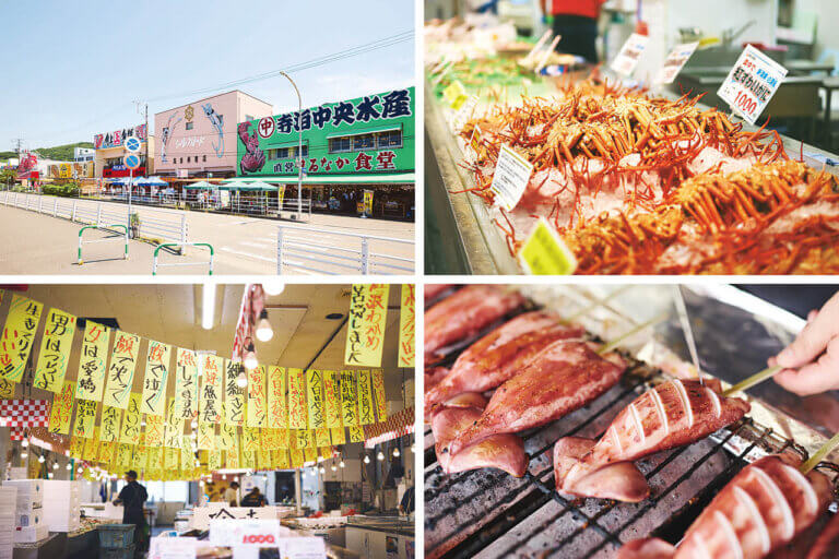 OނŖ͂[@IV\鋛s `̎sʂҁ`