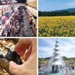 �����ɍs����V���C�x���g���b8/4(��)�`8(��)�̃��C���摜