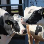 ���~���Ԃ̐V���C�x���g���b8/9(�y)�`17(��)�J�Ẩ摜21