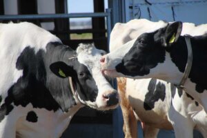 ~Ԃ̐VCxgb8/9(y)`17()JẨ摜21