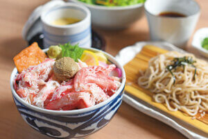 �ґ�ȊC�̍K���R�X�p���Q�Ɋy���߂�I�V���̊C�N�����`15�I�̉摜41