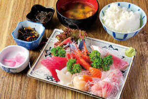 �ґ�ȊC�̍K���R�X�p���Q�Ɋy���߂�I�V���̊C�N�����`15�I�̉摜46