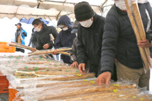 nՂ_ƍՂ߂뉟I JAO[vVJÂHCxg܂Ƃ `11ҁ`̉摜13