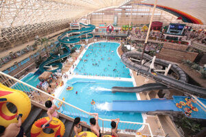 ���ߐ؂�ԋ߁I��F�Y�R�V�q�J����L�b�`��������p�i�ȂǍ��v24���ɁI10/24(��)���ߐ؂蕪�����t���̉摜7