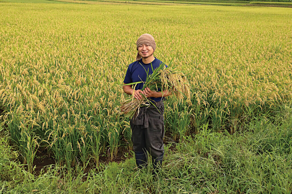 新潟県民必読！新米の魅力をギュッと紹介 「新米に恋して。」～若手