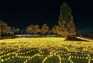 2025boɂ߁IVEH̃C~l[V8I@̉摜9