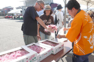 T̐VCxgb10/11(y)`13(j)JẨ摜8