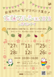 T̐VCxgb10/11(y)`13(j)JẨ摜5