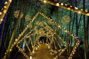 2025boɂ߁IVEH̃C~l[V8I@̉摜5