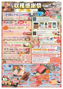 T̐VCxgb10/11(y)`13(j)JẨ摜18