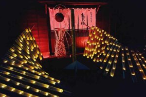 2025boɂ߁IVEH̃C~l[V8I@̉摜8