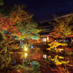 �V���̍g�t���C�g�A�b�v����5�I�@�v�킸�����̂ޏH�̐�i�I�̉摜5