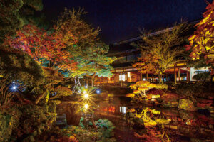 V̍gtCgAbv5I@v킸̂ޏH̐iỈ摜5