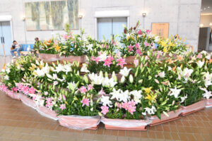 T̐VCxgb10/18(y)E19()JẨ摜14