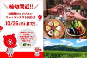 �Ԃ��Ȃ����؁I ���ؕ��܂����炦��u#�V���̃R���W���V�t�H�g�R���e�X�g2025�v10/26(��)�܂ł̃��C���摜