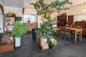 ����IC���΂ɃX�^�C���X�g�E�R�c�u�����񂪎肪����L���`���X�u�����v�I�[�v���I�̉摜5