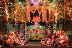 ���T���̐V���C�x���g���b10/25(�y)�E26(��)�J�Ẩ摜21