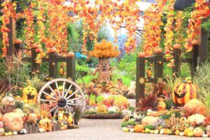 �����ɍs����V���C�x���g���b10/27(��)�`31(��)�̉摜8