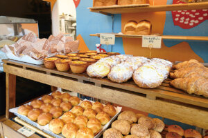 pDKIVEb̃x[J[VX6̉摜25