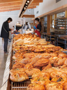 pDKIVEb̃x[J[VX6̉摜2