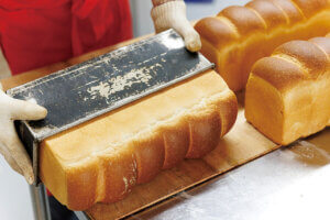 pDKIVEb̃x[J[VX6̉摜4