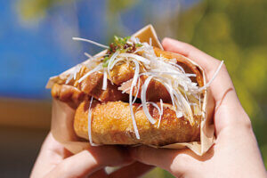 pDKIVEb̃x[J[VX6̉摜5