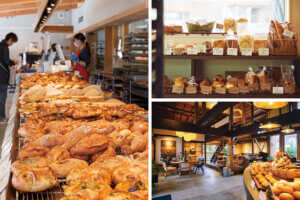 pDKIVEb̃x[J[VX6̃C摜