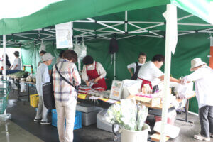 T̐VCxgb10/18(y)E19()JẨ摜3