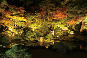 V̍gtCgAbv5I@v킸̂ޏH̐iỈ摜4