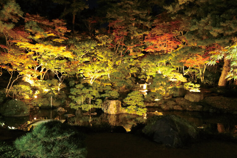 �V���̍g�t���C�g�A�b�v����5�I�@�v�킸�����̂ޏH�̐�i�I�̉摜4