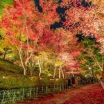 �V���̍g�t���C�g�A�b�v����5�I�@�v�킸�����̂ޏH�̐�i�I�̉摜8