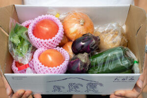 �Ԃ��Ȃ����؁I ���ؕ��܂����炦��u#�V���̃R���W���V�t�H�g�R���e�X�g2025�v10/26(��)�܂ł̉摜9