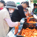 ���T���̐V���C�x���g���b10/25(�y)�E26(��)�J�Ẩ摜13