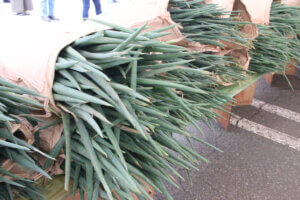 nՂ_ƍՂ߂뉟I JAO[vVJÂHCxg܂Ƃ `10ҁ`̉摜25