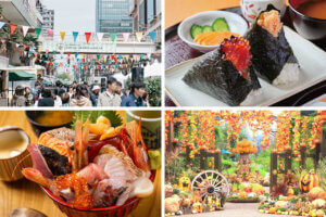 T̐VCxgb10/4(y)E5()JẪC摜