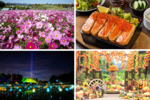 ɍsVCxgb10/14()`17()̃C摜