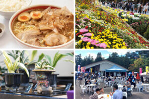 ɍsVCxgb11/4()`7()̃C摜