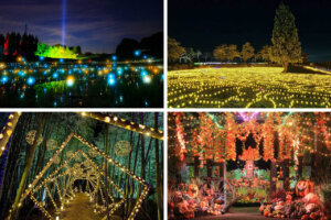 2025boɂ߁IVEH̃C~l[V8I@̃C摜