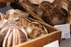 pDKIVEb̃x[J[VX6̉摜20