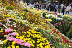 T̐VCxgb11/1(y)`3(j)JẨ摜13