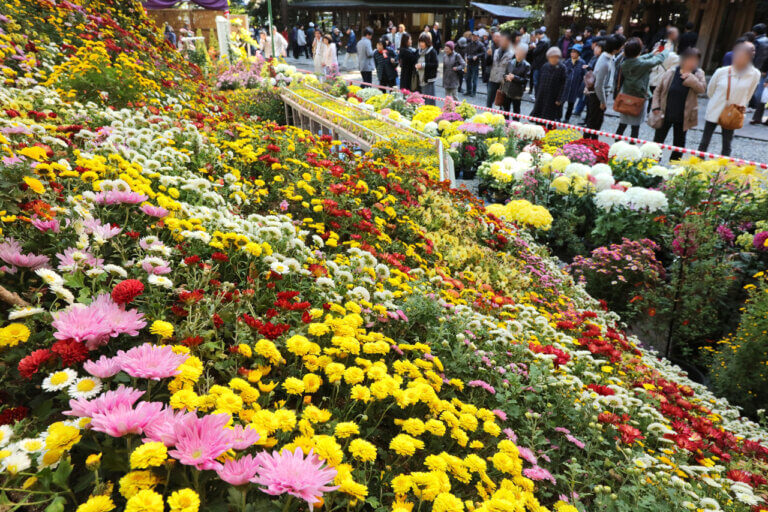 �����ɍs����V���C�x���g���b11/17(��)�`21(��)�̉摜9