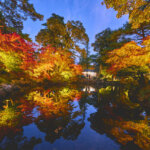 �V���̍g�t���C�g�A�b�v����5�I�@�v�킸�����̂ޏH�̐�i�I�̉摜2