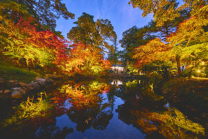 V̍gtCgAbv5I@v킸̂ޏH̐iỈ摜2